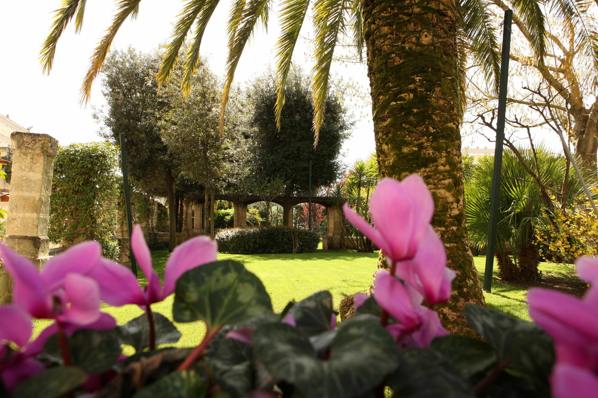 מטרה Hotel Del Campo מראה חיצוני תמונה